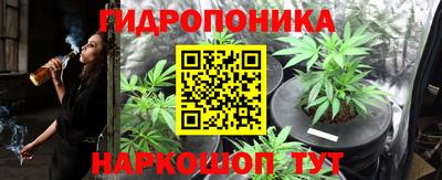 гидра Рузаевка