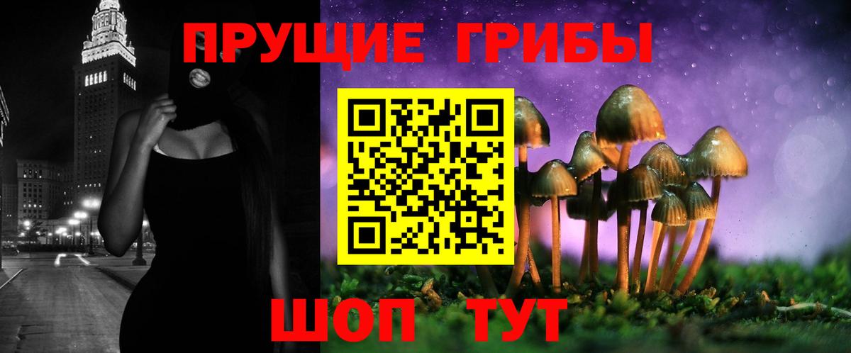 Псилоцибиновые грибы Magic Shrooms Новокубанск