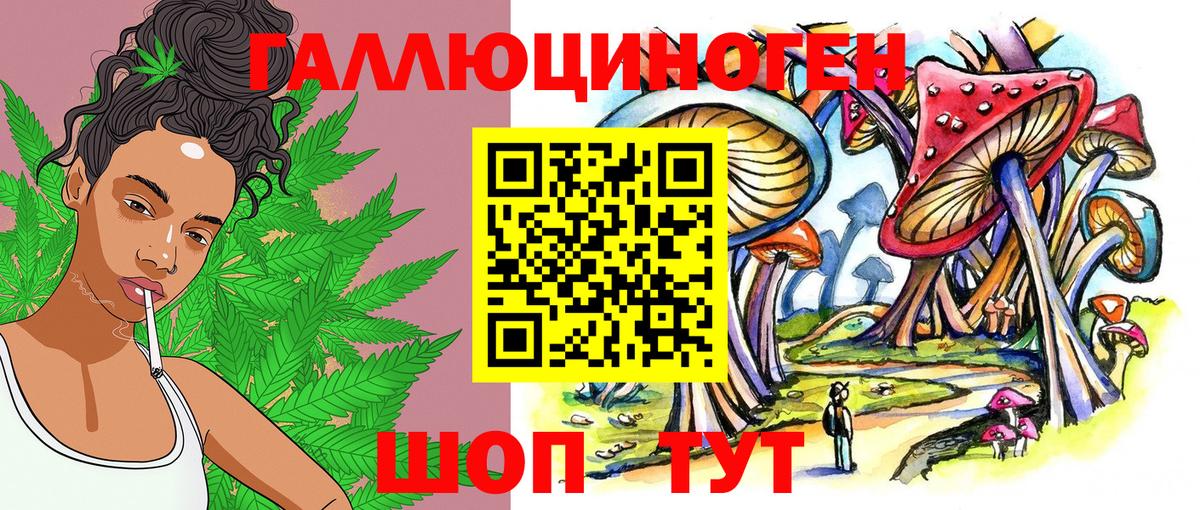 Новокубанск  Галлюциногенные грибы мицелий  Вход с VPN 