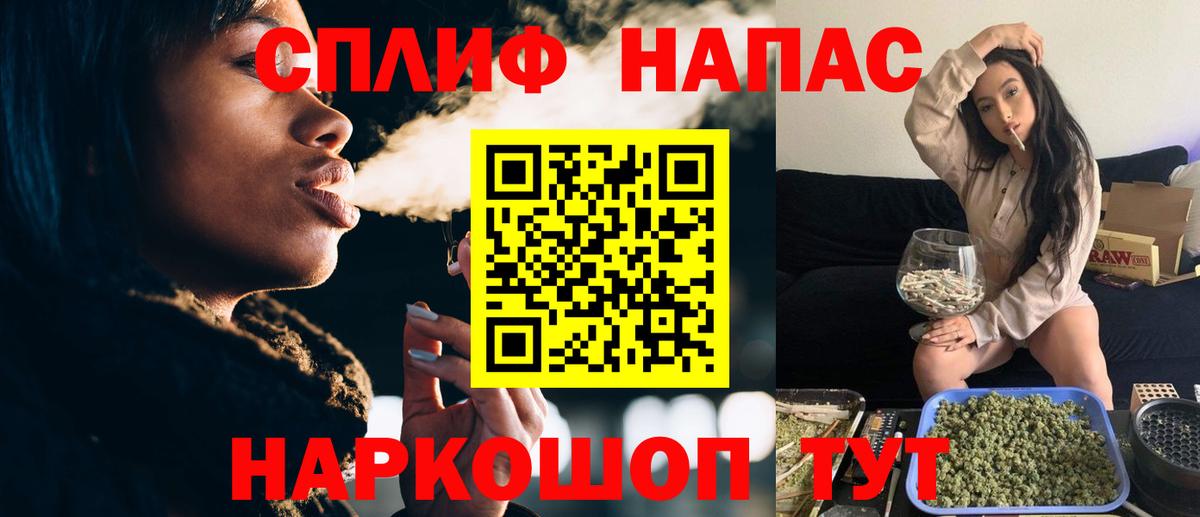 Конопля семена Новокубанск